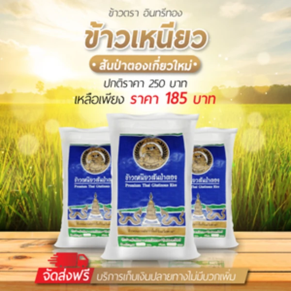 ข้าวเหนียวสันป่าตอง อินทรีทอง