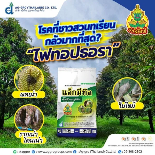 มาแล็กซ์