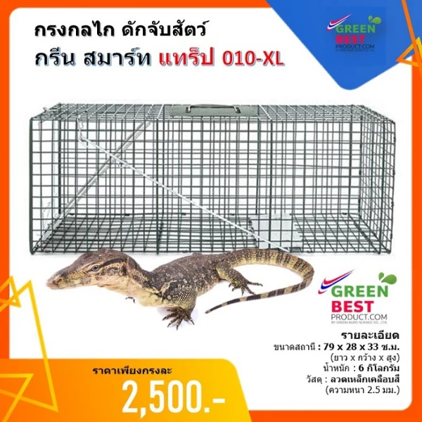 กรงดักจับสัตว์เลื้อนคลาน และแมว กรีน สมาร์ทแทร๊ป 010 XL