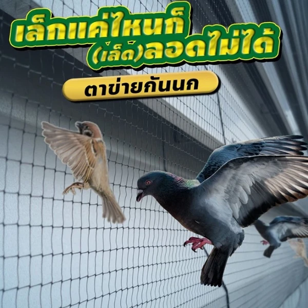 กรีน เบริ์ดเน็ท พีพี สีขาวอมเทา ตาข่ายกันนก 
