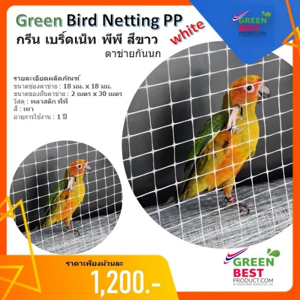 กรีน เบริ์ดเน็ท พีพี สีขาวอมเทา ตาข่ายกันนก 